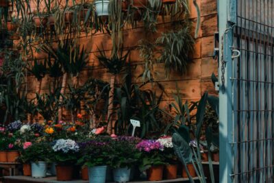 Les Végétales du château de Chambray : fête des plantes les 24 et 25 octobre dans l&rsquo;Eure