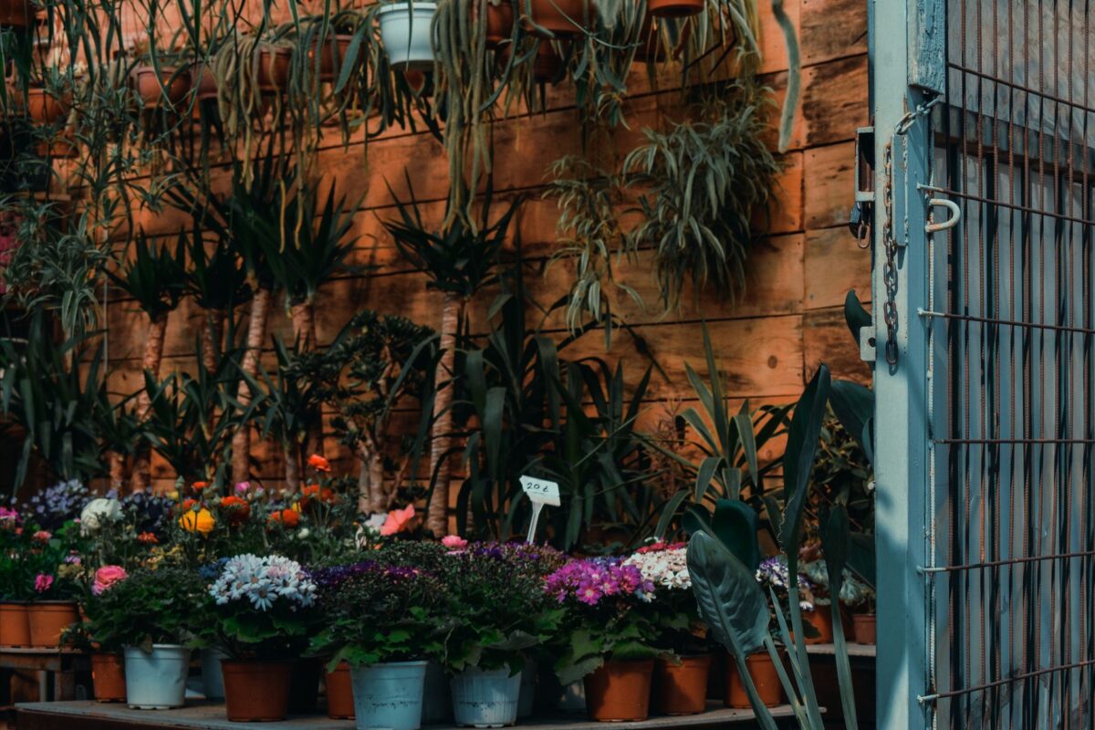 Les Végétales du château de Chambray : fête des plantes les 24 et 25 octobre dans l'Eure